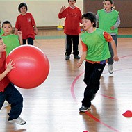 Poull-ball
